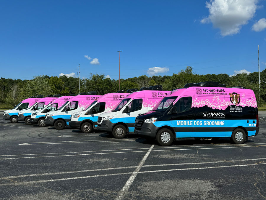 Maddie's Mobile fleet of pink and turquoise grooming vans